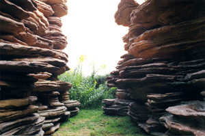 Mur rocheux végétalisé
