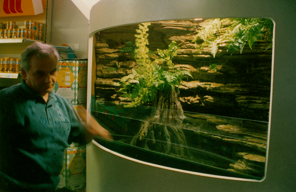 An aqua-terrarium for turtles