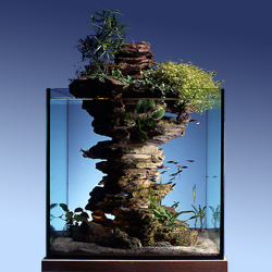 Aquarium decorations