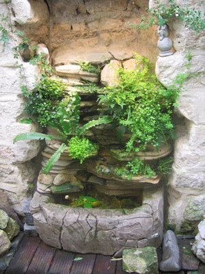 Mur végétal - La Source du Donzil