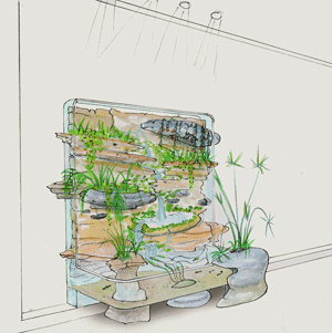 Mur v�g�tal, aquatique et rocheux