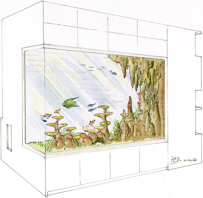 Petit aquarium sans pompe  Conception aquarium, Aquarium