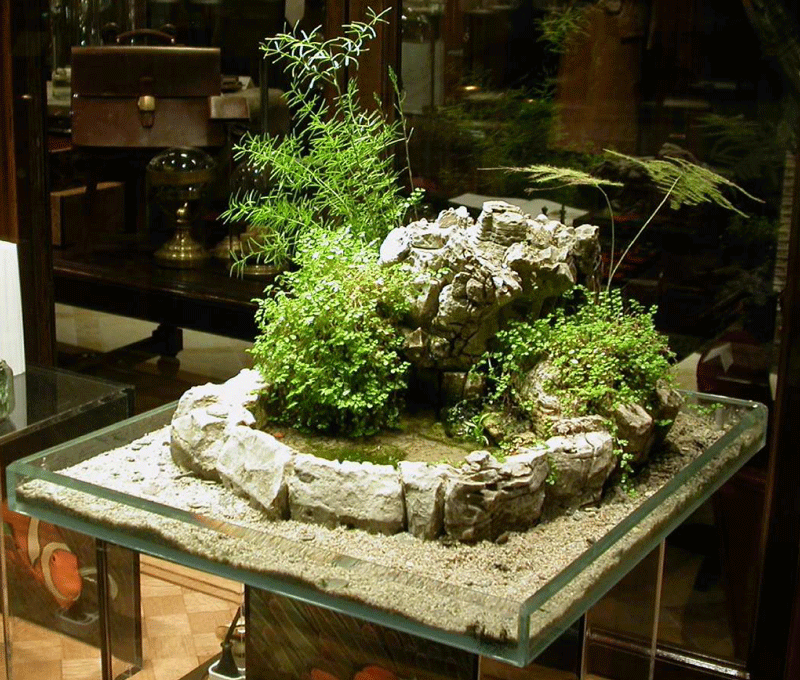 Jardin japonais miniature intérieur
