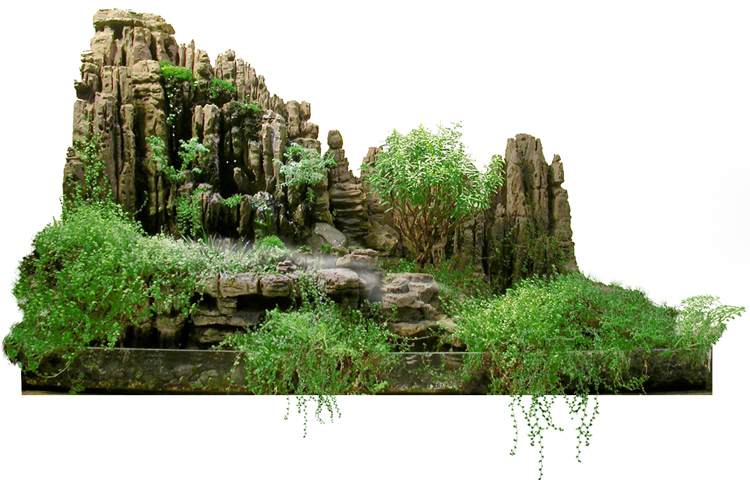 Jardin japonais miniature : présentation, création et bienfaits