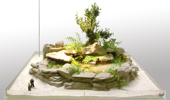 Jardins japonais miniatures - - Marilyn, au fil des jours