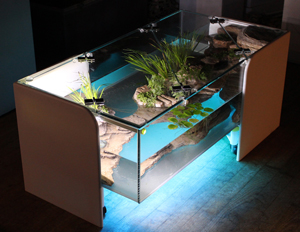 table basse aquaterrarium